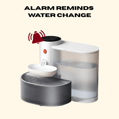 Rechargeable Pet Water Fountain – Quiet, Filtered & Hygienic