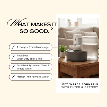 Rechargeable Pet Water Fountain – Quiet, Filtered & Hygienic