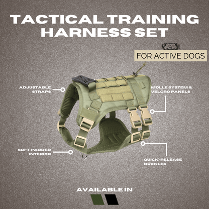Tactical Dog Harness & Leash Set – Ultimate Control & Comfort Combo