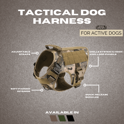 Adjustable Tactical Dog Harness – Breathable, Durable & Perfect for Active Dogs